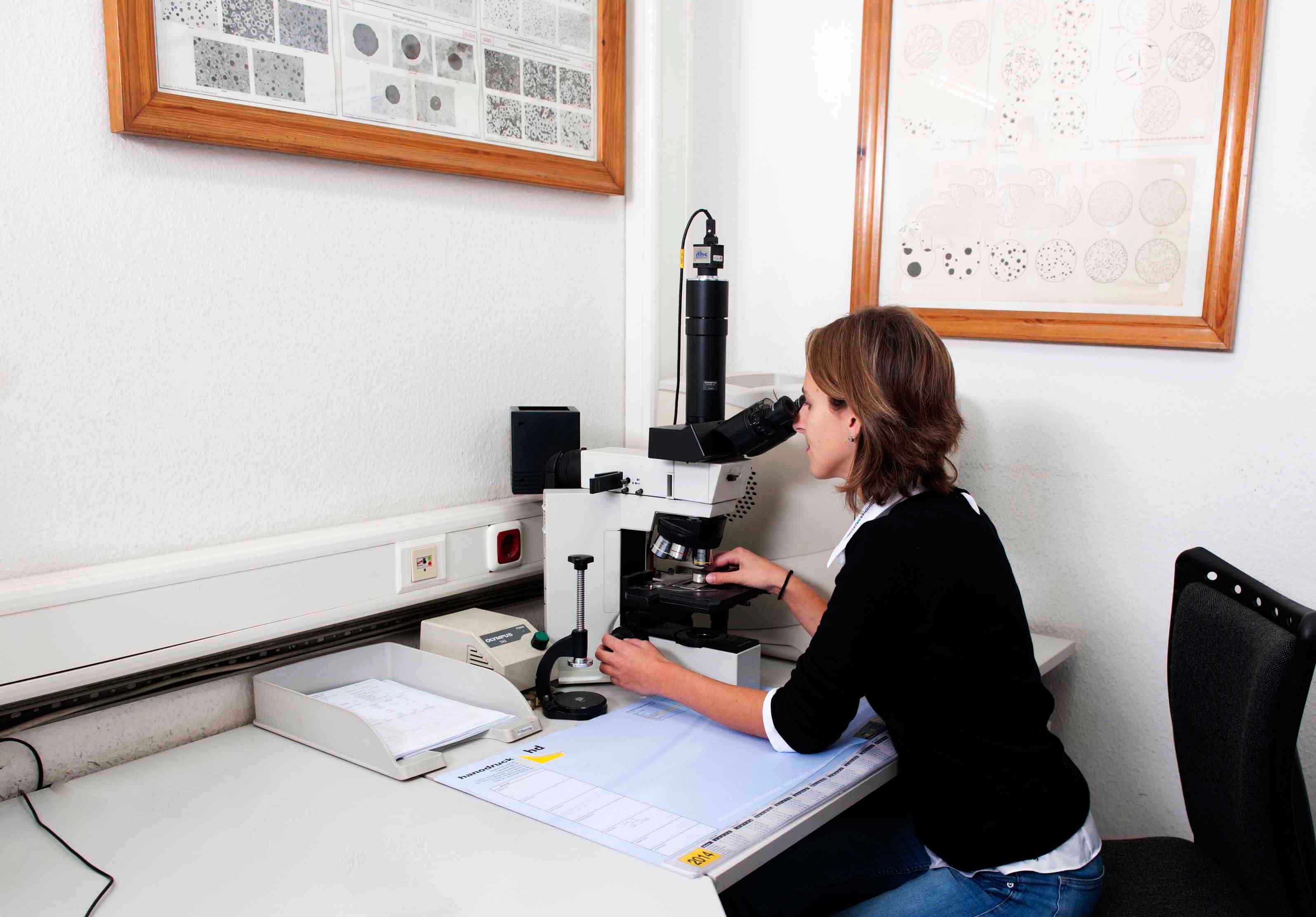 cast iron-nodularity-optical microscope the ligth optical microscope presents spherulites and nodularity in ductile cast iron used for engineered iron castings made of EN-GJL , EN-GJS, ADI, SiMo and NiResist.