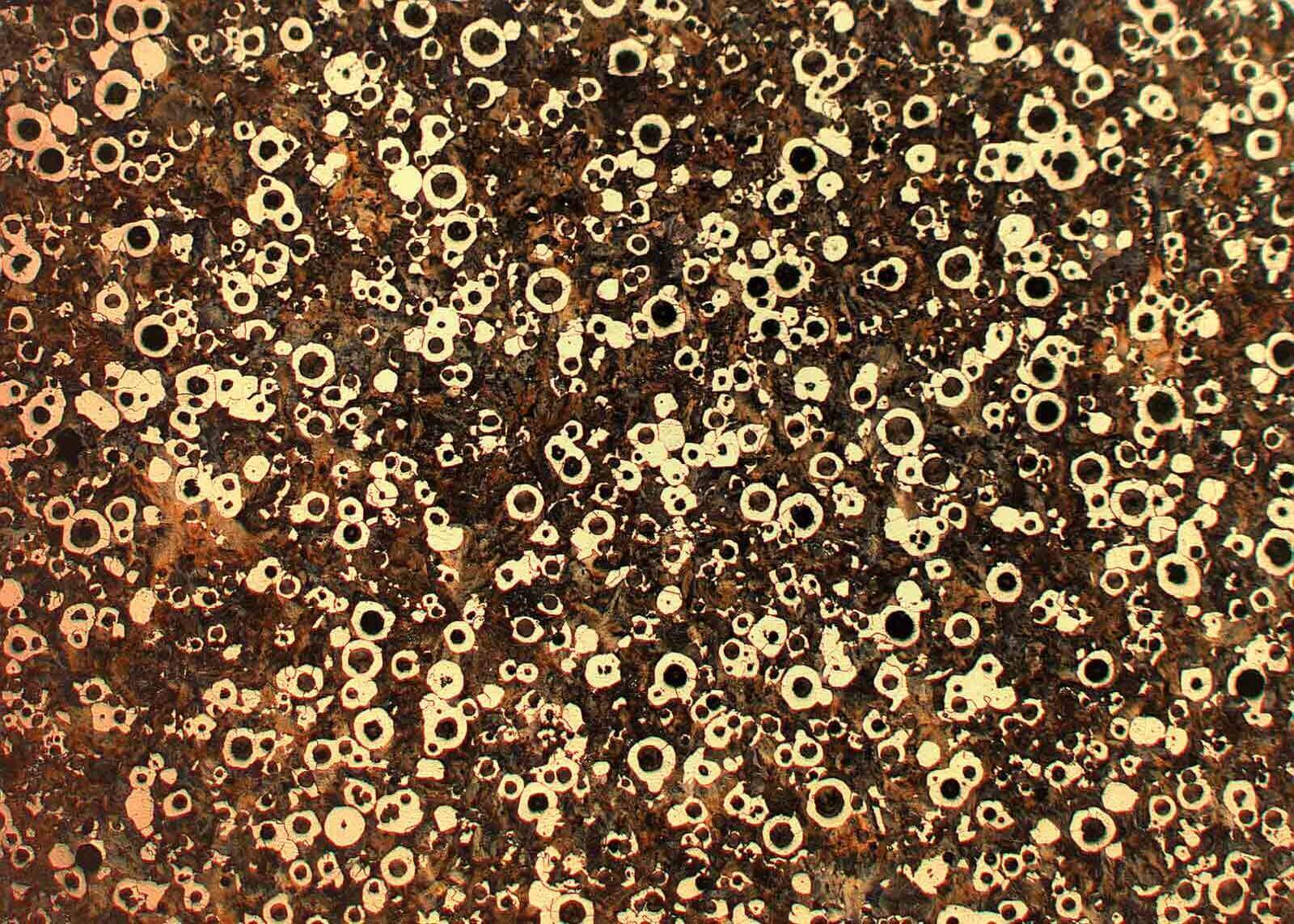 Schliffbild eines duktiles Gusseisen mit Sphärolithen für Bauteile aus Eisenguss in kleinen und mittleren Stückzahlen